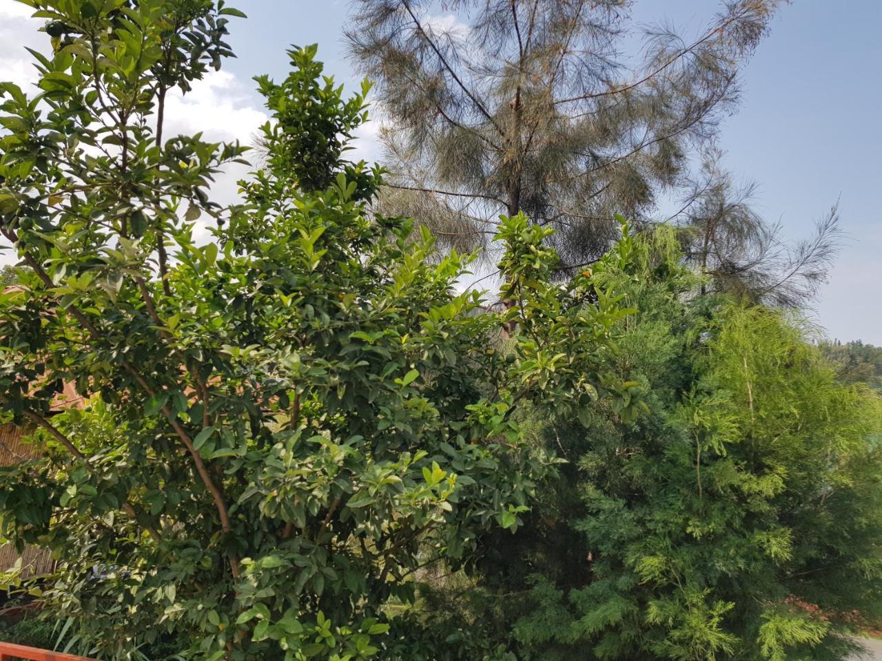 Kibuye Rebero Kivu Resort מראה חיצוני תמונה